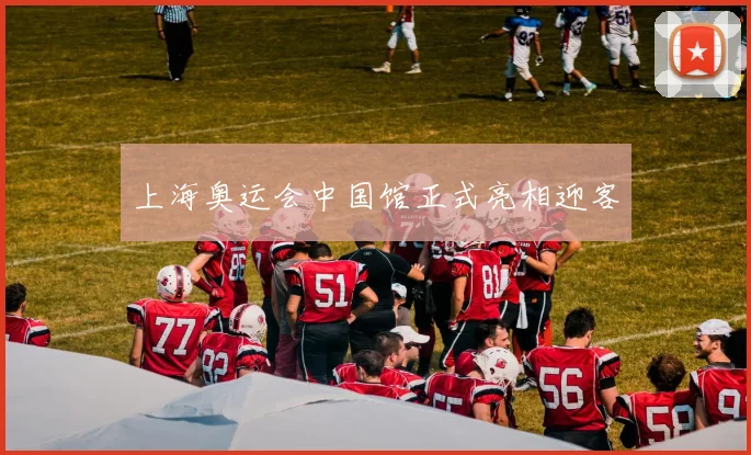 上海奥运会中国馆正式亮相迎客