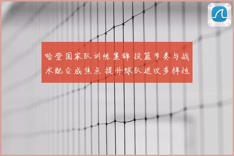 哈登国家队训练集锦 投篮节奏与战术配合成焦点 提升球队进攻多样性