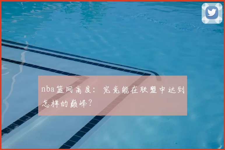 nba篮网高度：究竟能在联盟中达到怎样的巅峰？