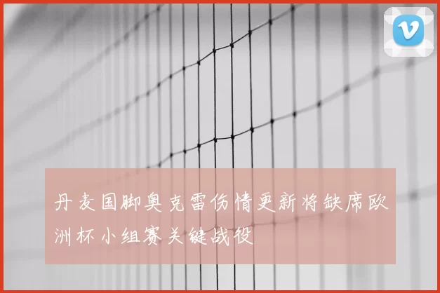 丹麦国脚奥克雷伤情更新将缺席欧洲杯小组赛关键战役
