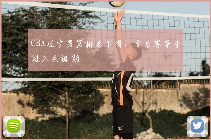 CBA辽宁男篮排名下滑，季后赛争夺进入关键期