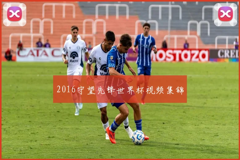 2016守望先锋世界杯视频集锦