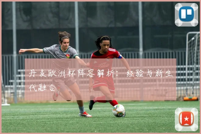 丹麦欧洲杯阵容解析：经验与新生代融合